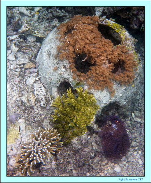 2009   07   Matakin 62